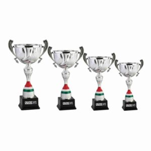 Trofei e Premiazioni - immagine 6